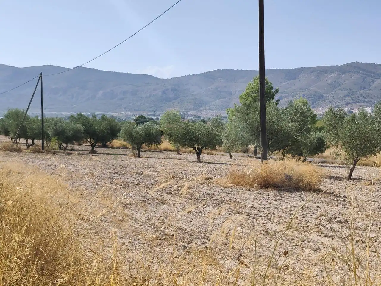 Terreno rustico in vendita a Castalla, imagen 5