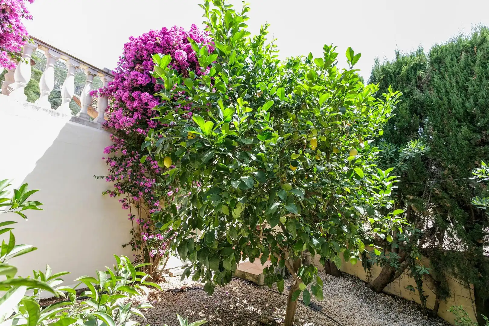 Garden of Houses for sale in Barx  with Air Conditioner, Heating and Private garden