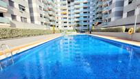 Swimming pool of Apartment for sale in Gandia  with Terrace, Furnished and Community pool