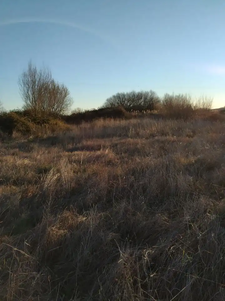 Terreni e lotti in vendita a De Plasencia, imagen 8