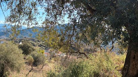 Foto 2 de Casa o chalet en venta en Calle Camino de Solano, Colmenar, Málaga