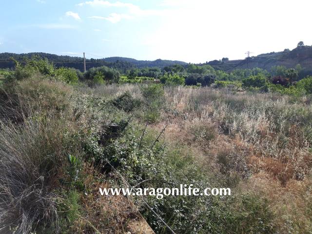 Terreno residencial en Venta en Maella
