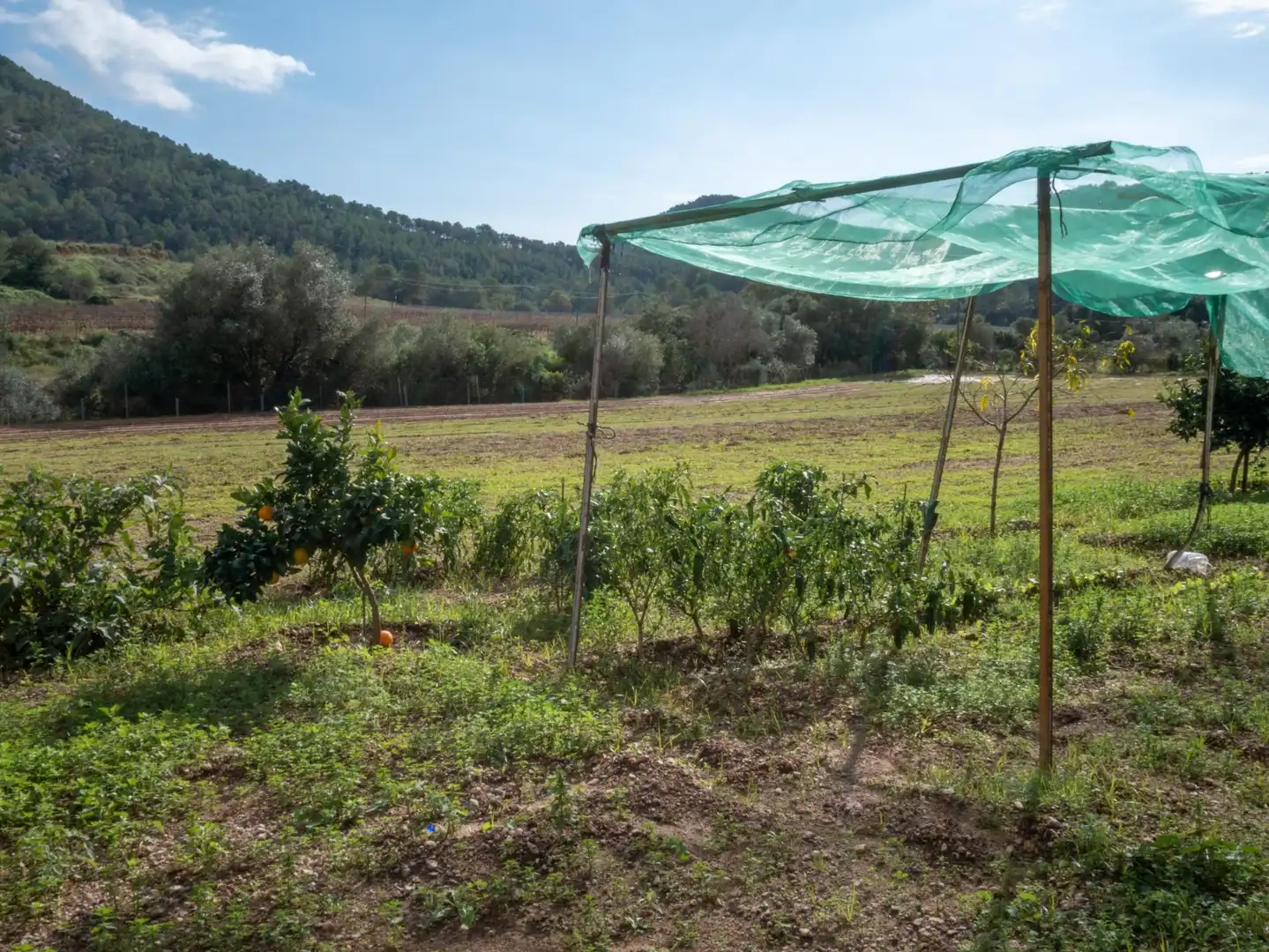 Casa rustica con giardino in vendita a Carretera COMARCAL BV-2111, imagen 51