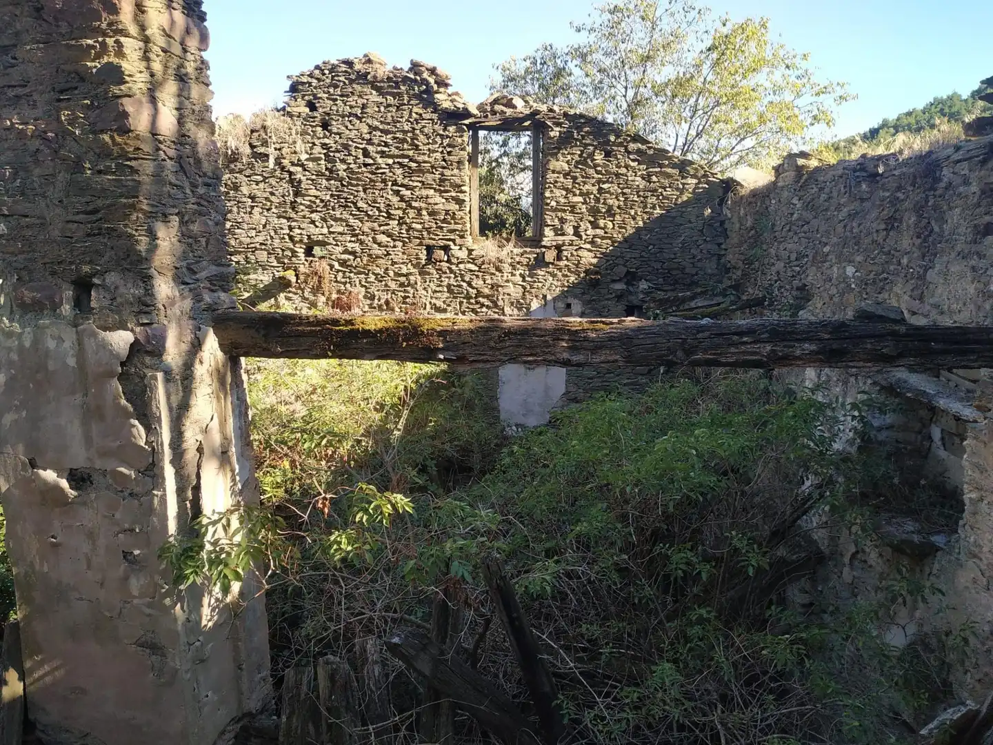 Lands and plots for sale in Montferrer i Castellbò, imagen 2