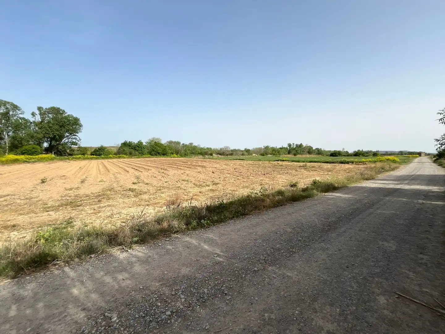 Residential for sale in Beire