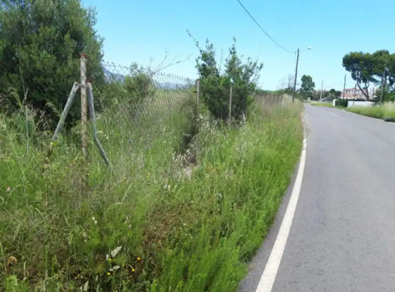 Terreny rústic en venda a PARAJE TORRE DEL BARÓN, imagen 5