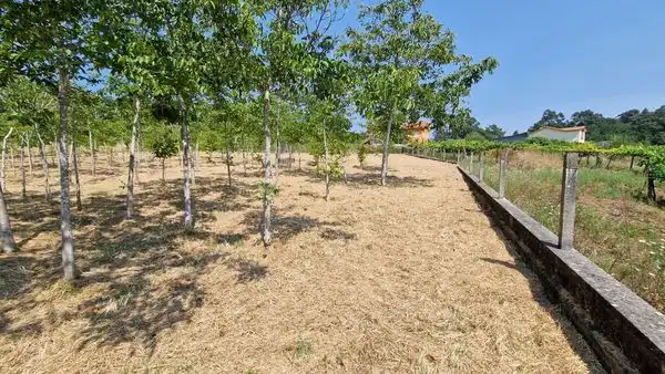 Terreno residenziale in vendita a Camiño do Matadoiro, imagen 4