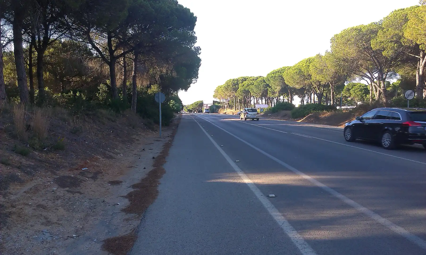 Residenziale in vendita a Calle Amapola