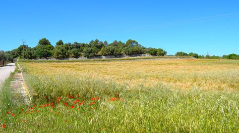 Foto 5 de Finca rústica en venta en Muro, Illes Balears