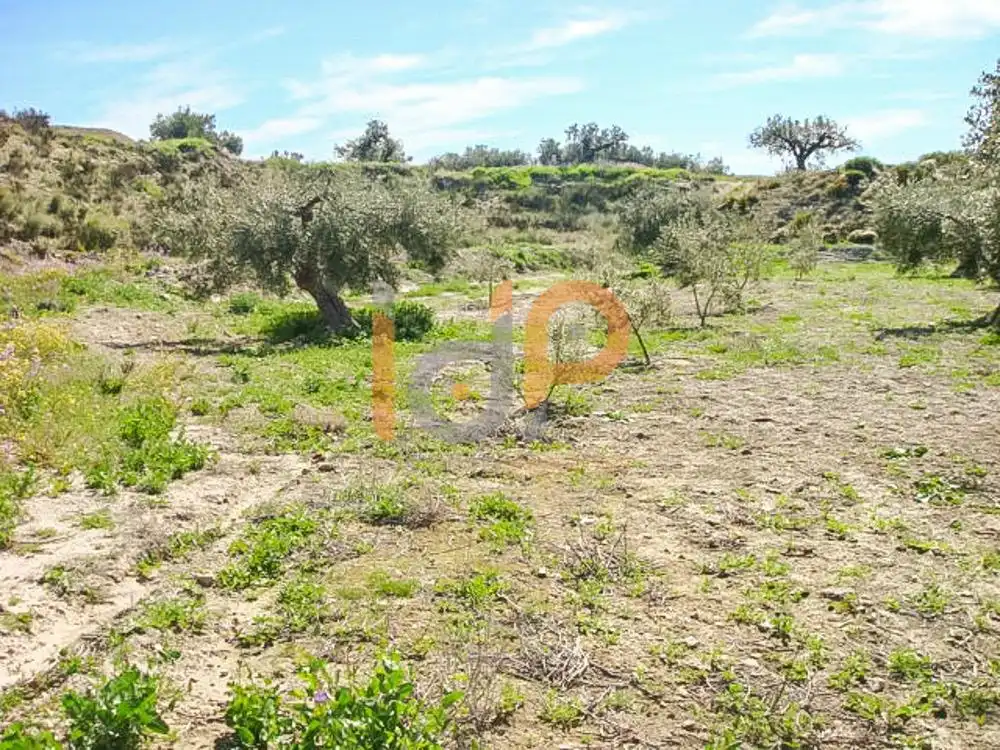 Terrain rustique à vendre à Huércal-Overa, imagen 5