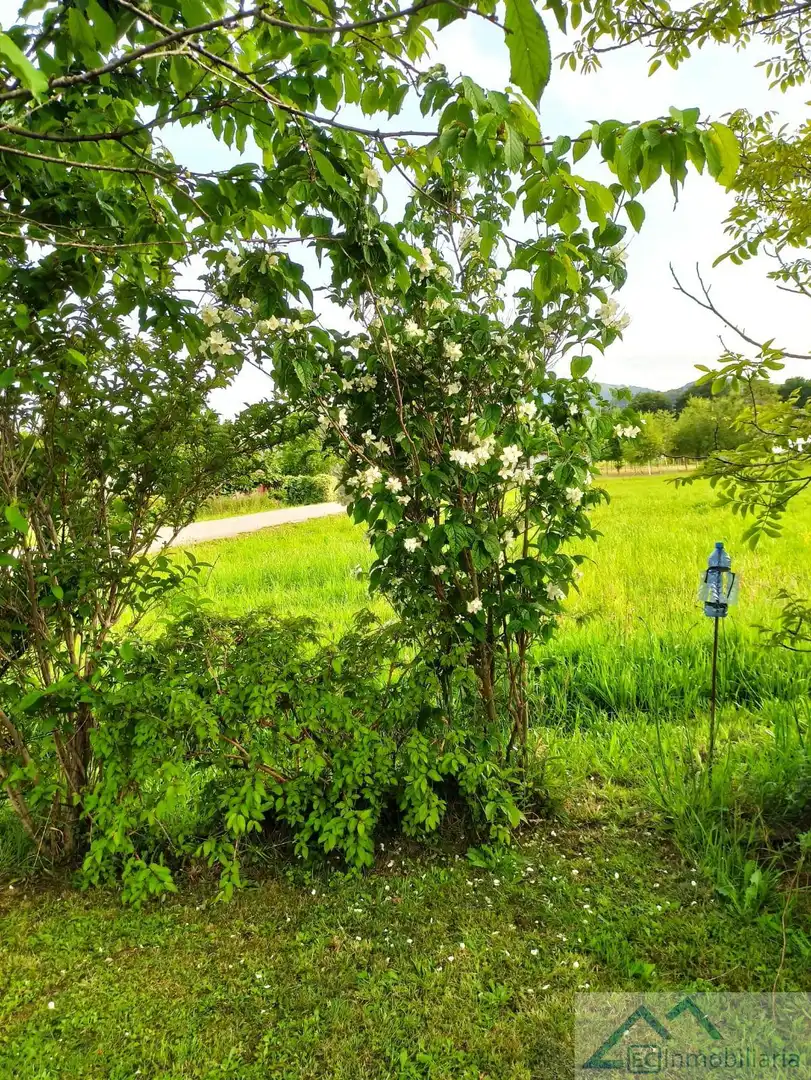 Finca rústica en venta en Barrio el Bardal, Zurita