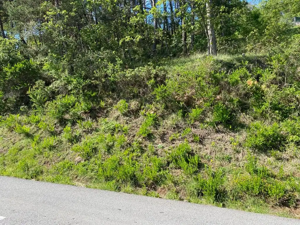 Residential land for sale in Muntanyola