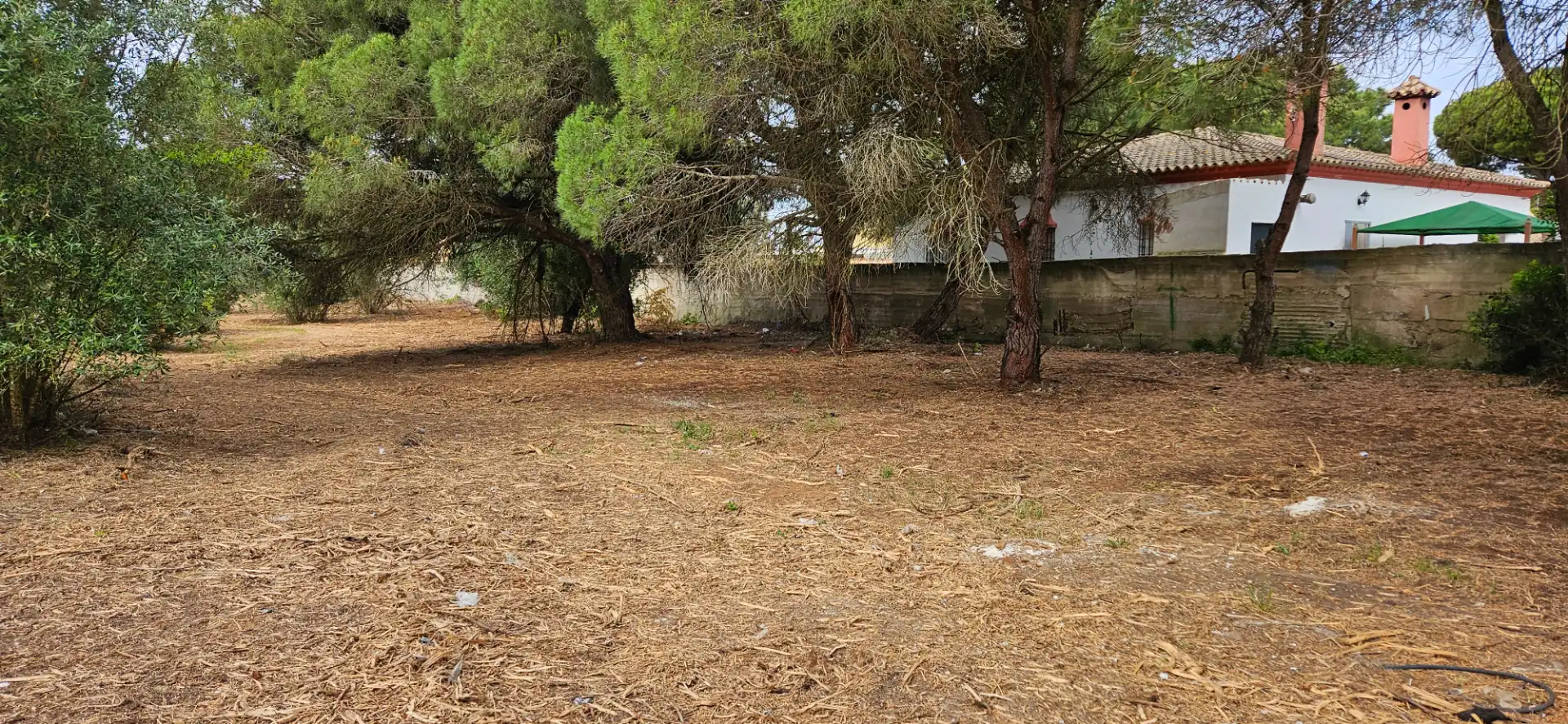Terrenys i solars en venda a Las Lagunas - Campano, imagen 11