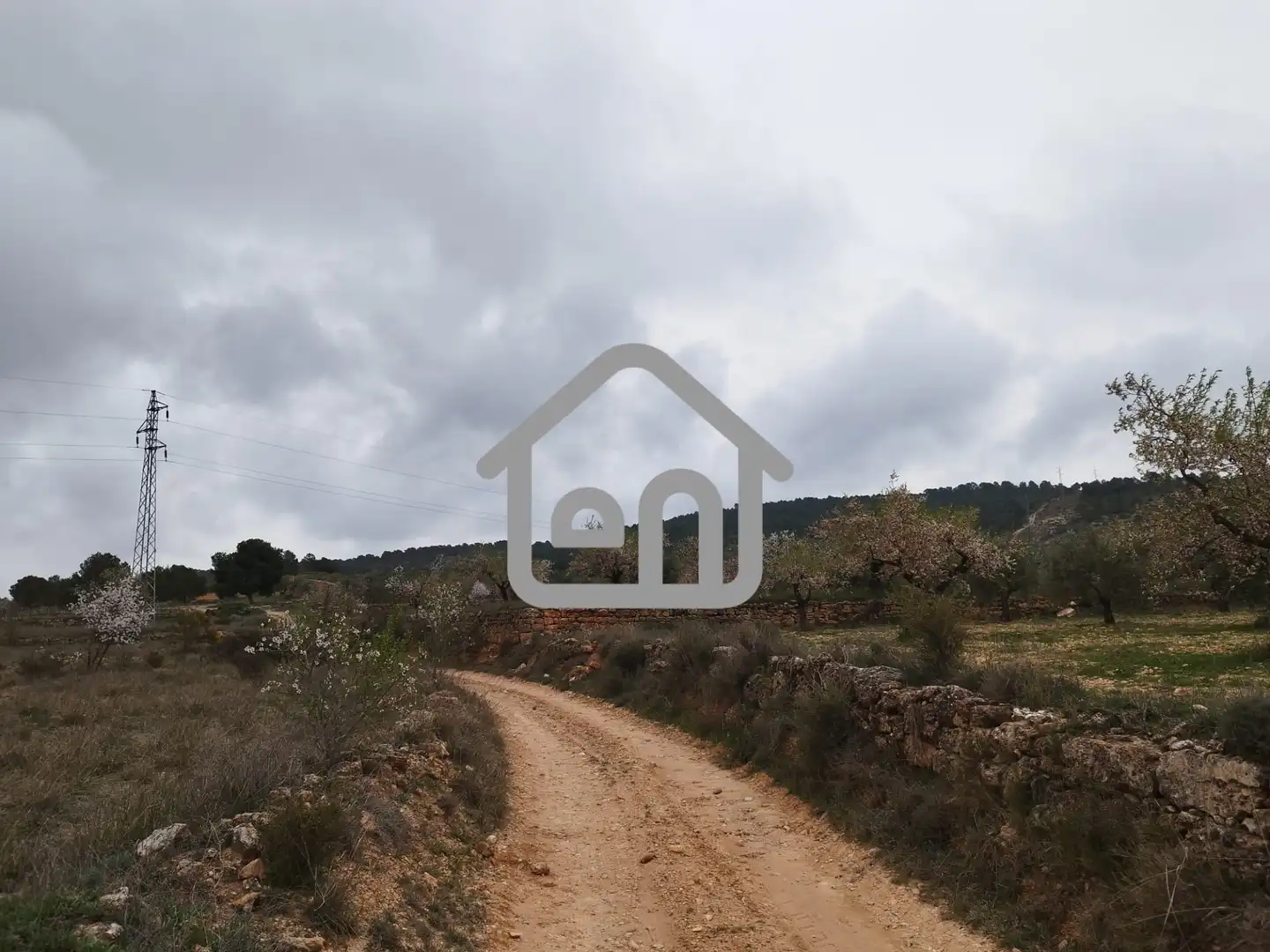 Rural land for sale in Requena, imagen 2