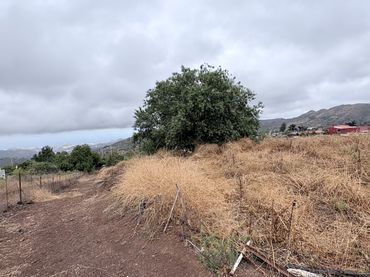 Rustikales Grundstück zum Verkauf in Vega de San Mateo