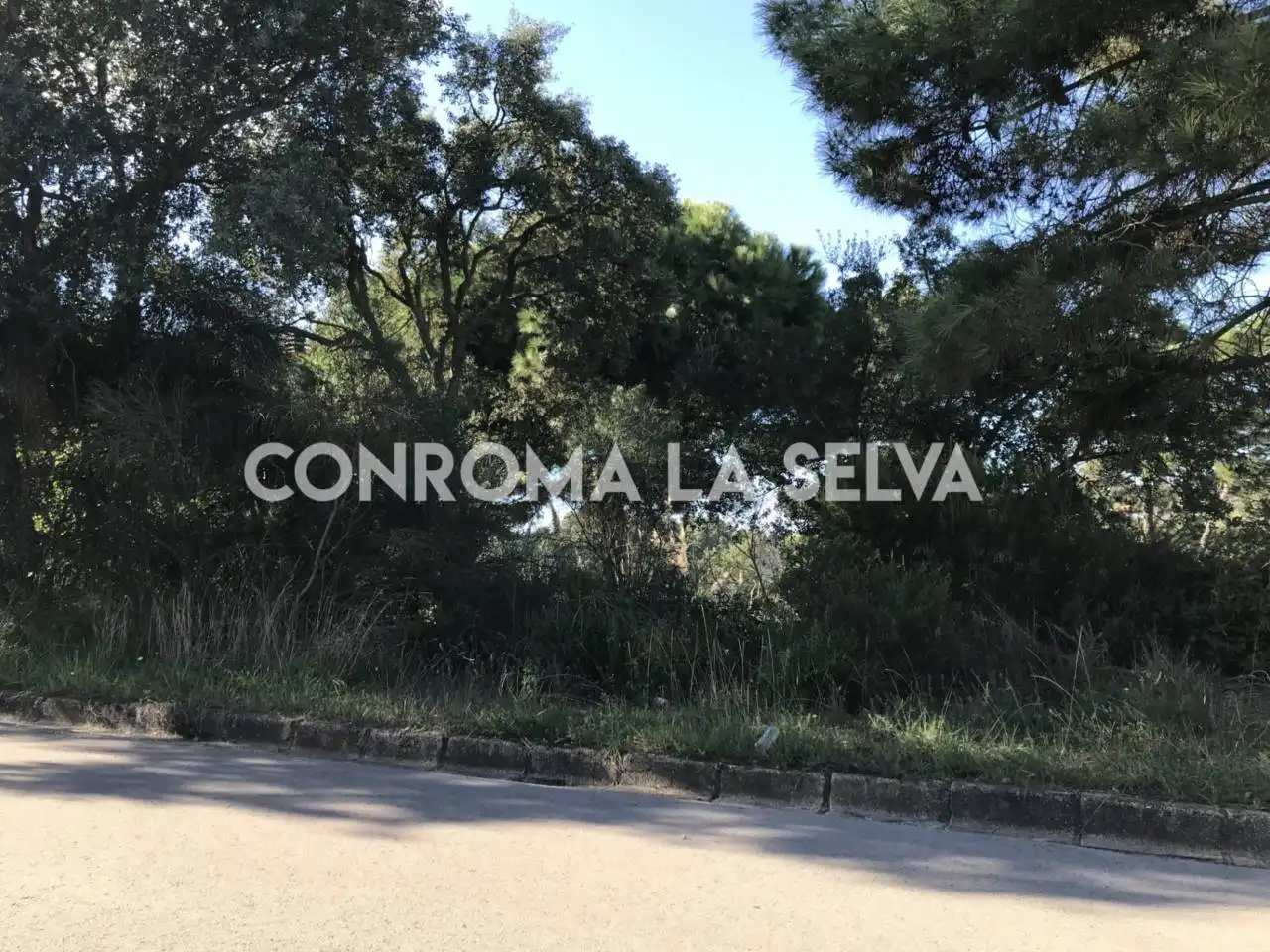 Terreny residencial en venda a Lloret Residencial - Montlloret, imagen 2