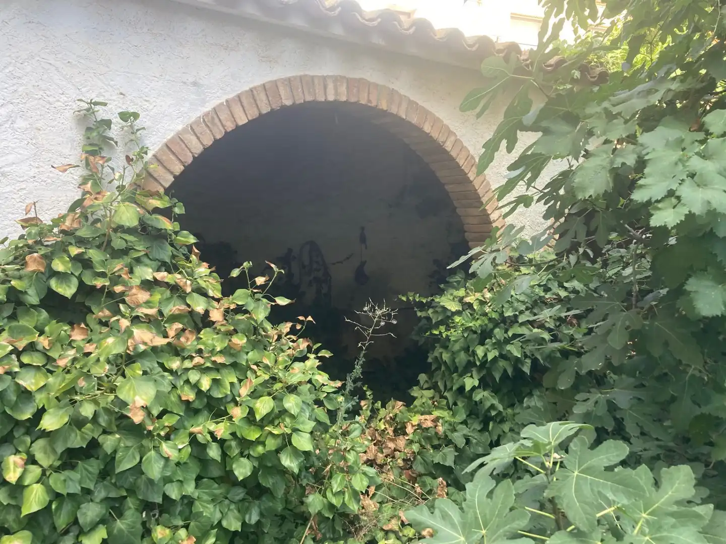 Casa o chalet en venta en Bellcaire d'Urgell con Jardín privado