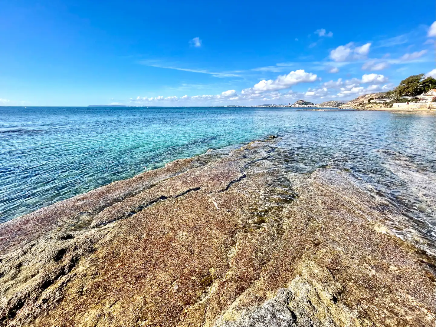 Chalet con piscina en venta en Playa de San Juan - El Cabo de las Huertas, imagen 77