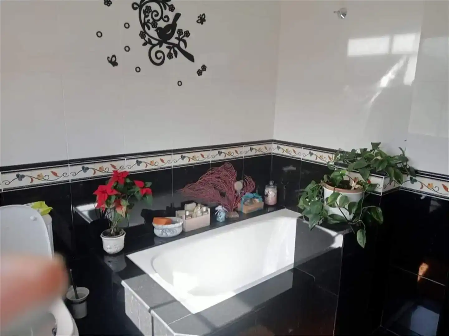 Baño de Casa o chalet en venta en Burela con Parquet, Trastero y Amueblado