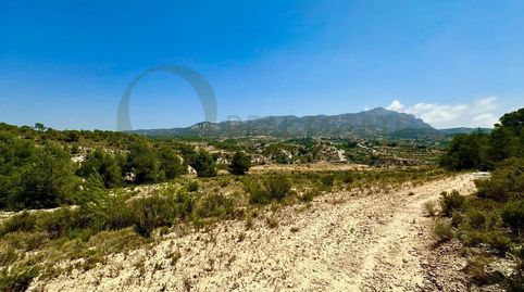 Fincas rústicas de 138.839 m2 en Tibi con vivienda y gran potencial de desarrollo., immagine 2