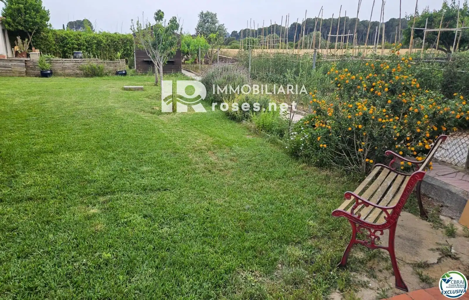 Terrain rustique à vendre à OLIVAR LLARCH, imagen 10