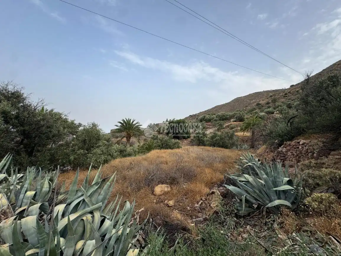 Terreny rústic en venda a Agüimes - Temisas, imagen 5