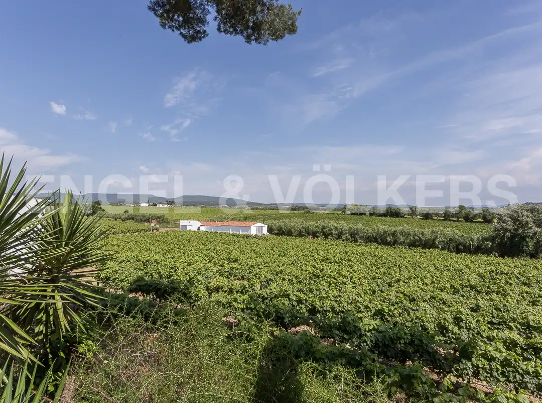Casa o chalet en venta en Puigdàlber con Aire acondicionado, Calefacción y Jardín privado