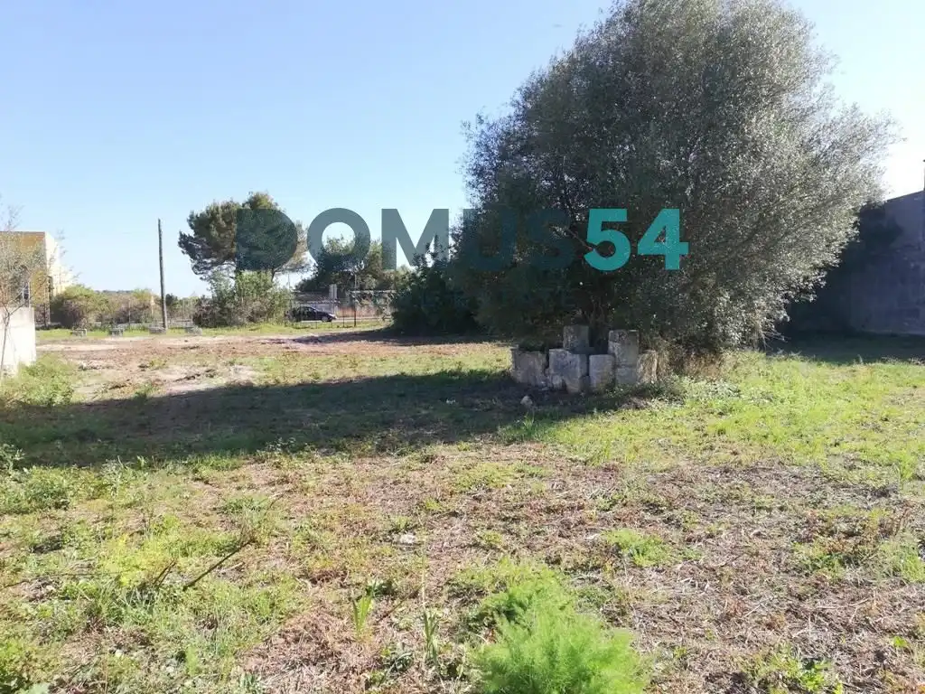 Rural land for sale in Pol. 5 Parcela 42, imagen 7