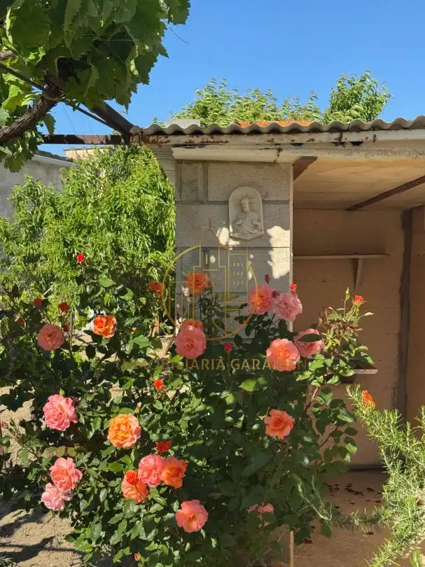 Jardín de Terreno en venta en Santacara