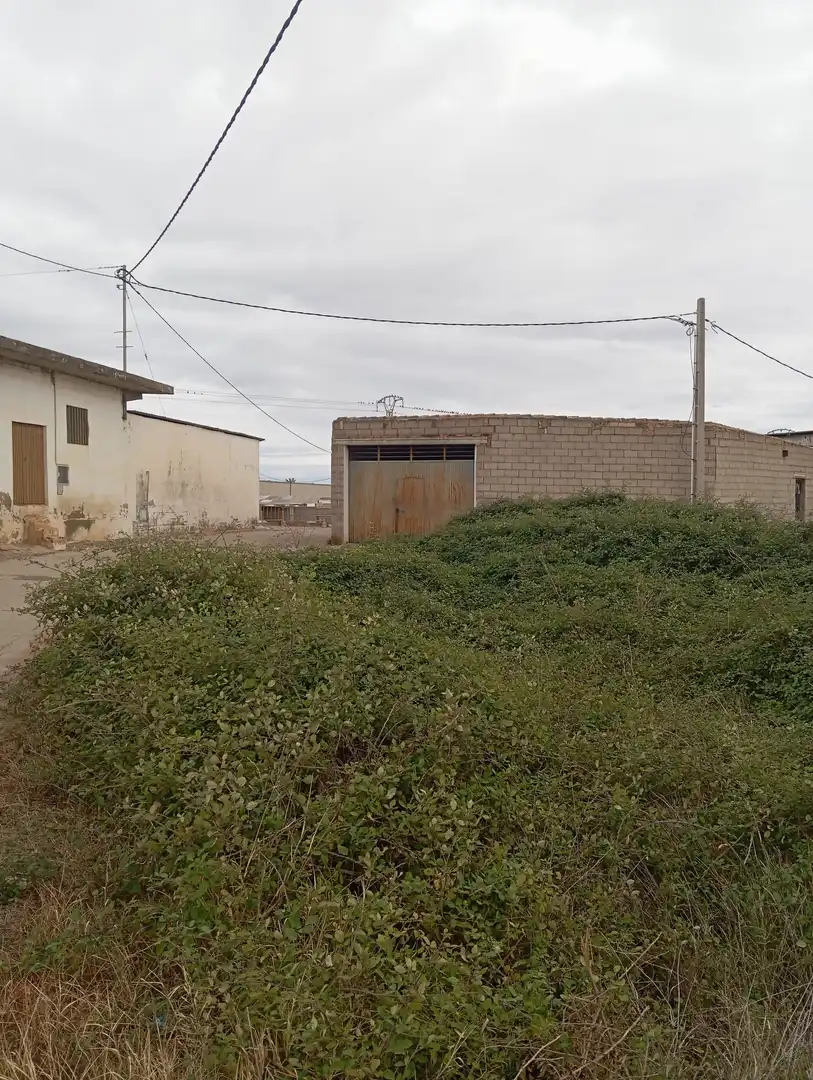 Vista exterior de Nave industrial en venta en Catadau