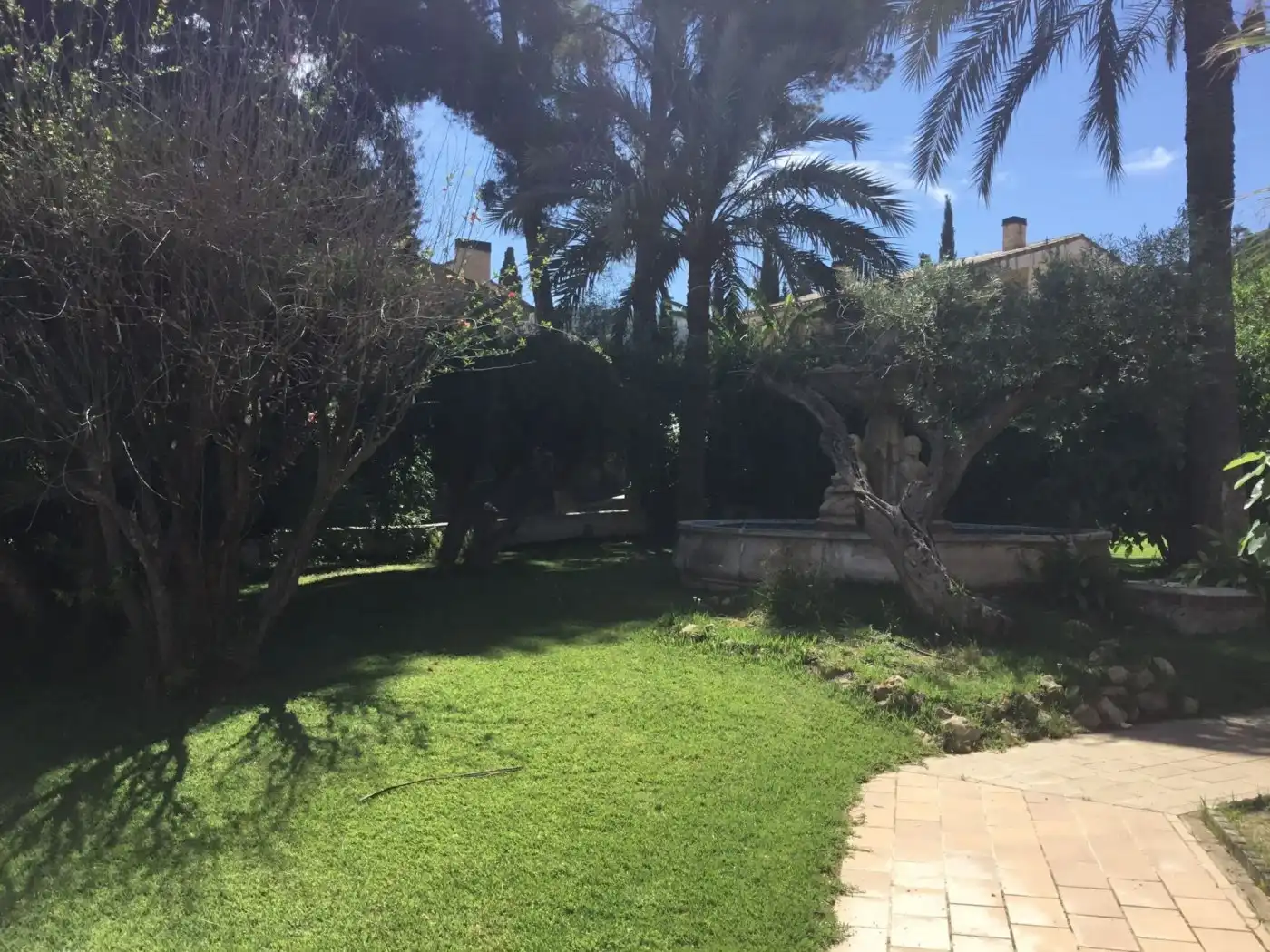 Jardín de Casa o chalet en venta en Murcia con Piscina y Amueblado