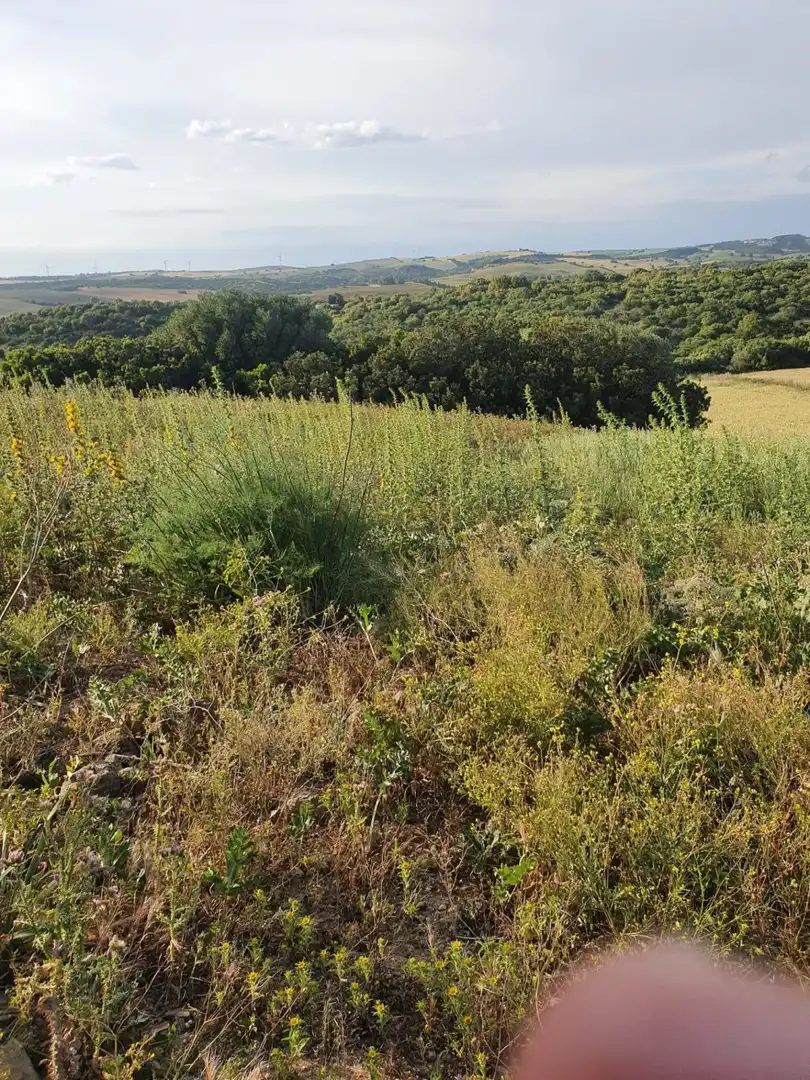 Terrenys i solars en venda a Medina Sidonia, imagen 12