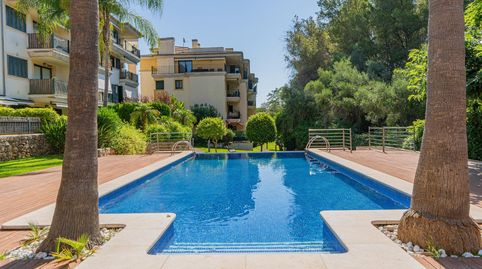 Foto 5 de Planta baixa en venda a Illes Balears, 7, Sa Teulera, Palma de Mallorca