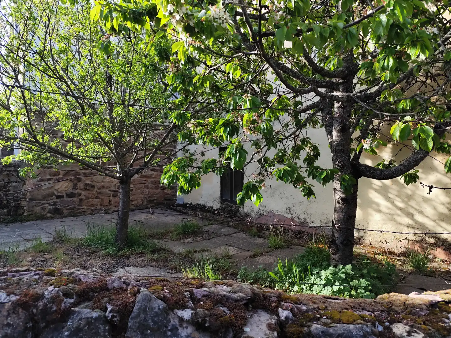 Jardín de Casa o chalet en venta en Valle de Valdelaguna con Parquet y Trastero
