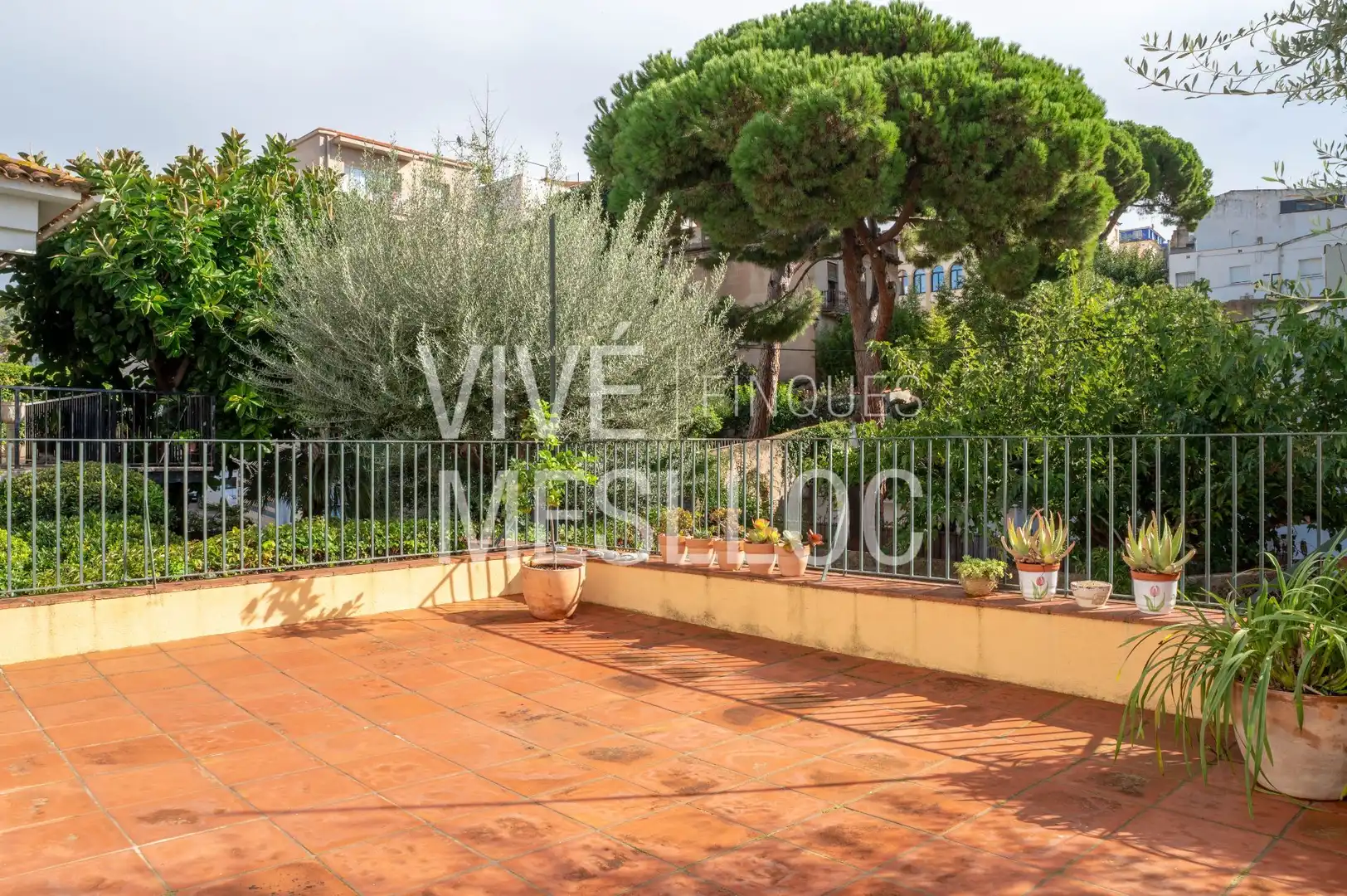 Terraza de Casa o chalet en venta en Tiana, Barcelona