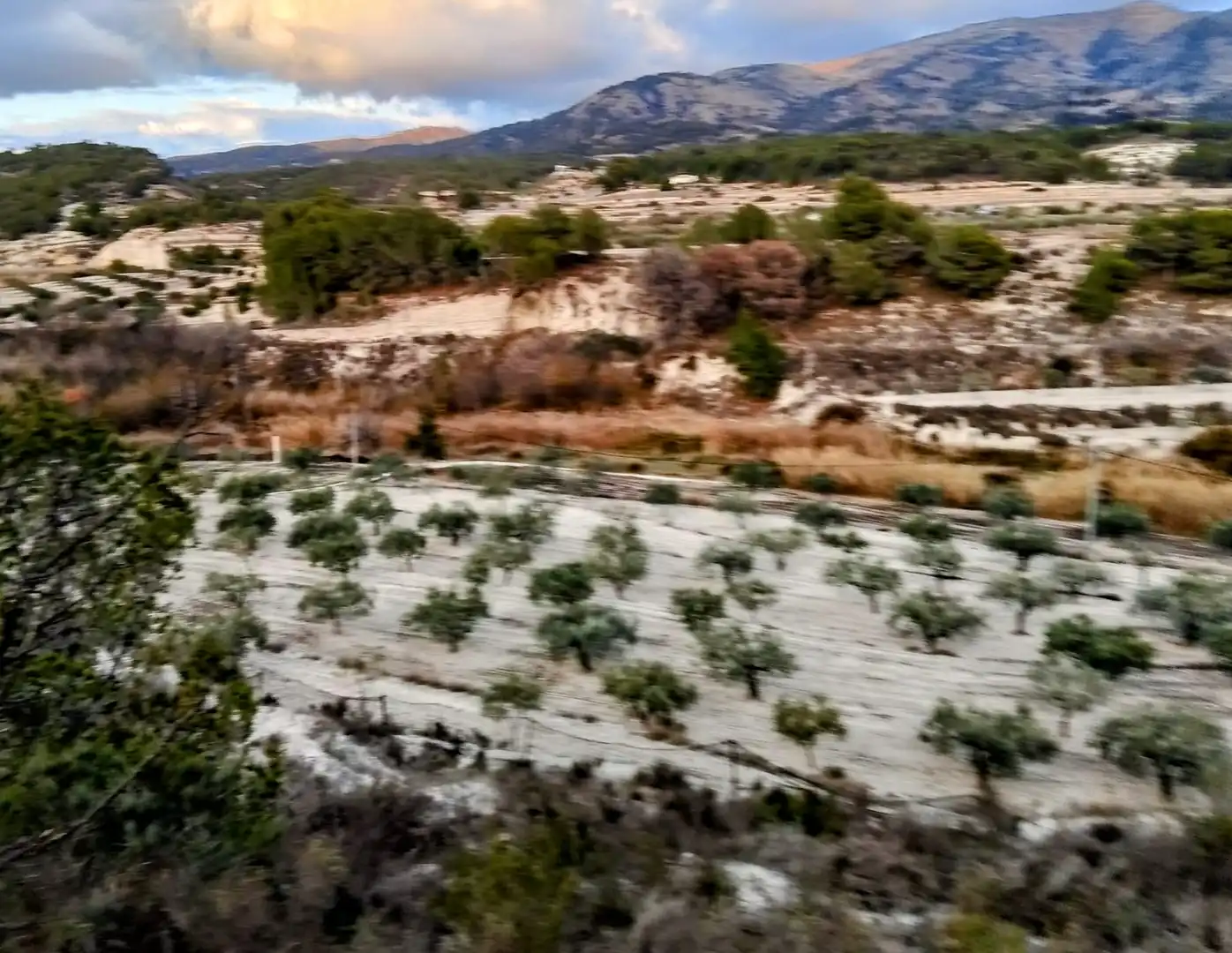 Terreno rustico in vendita a N/A, imagen 17