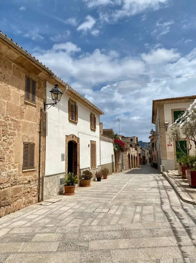 Exterior view of Houses for sale in Alcúdia  with Heating, Private garden and Terrace