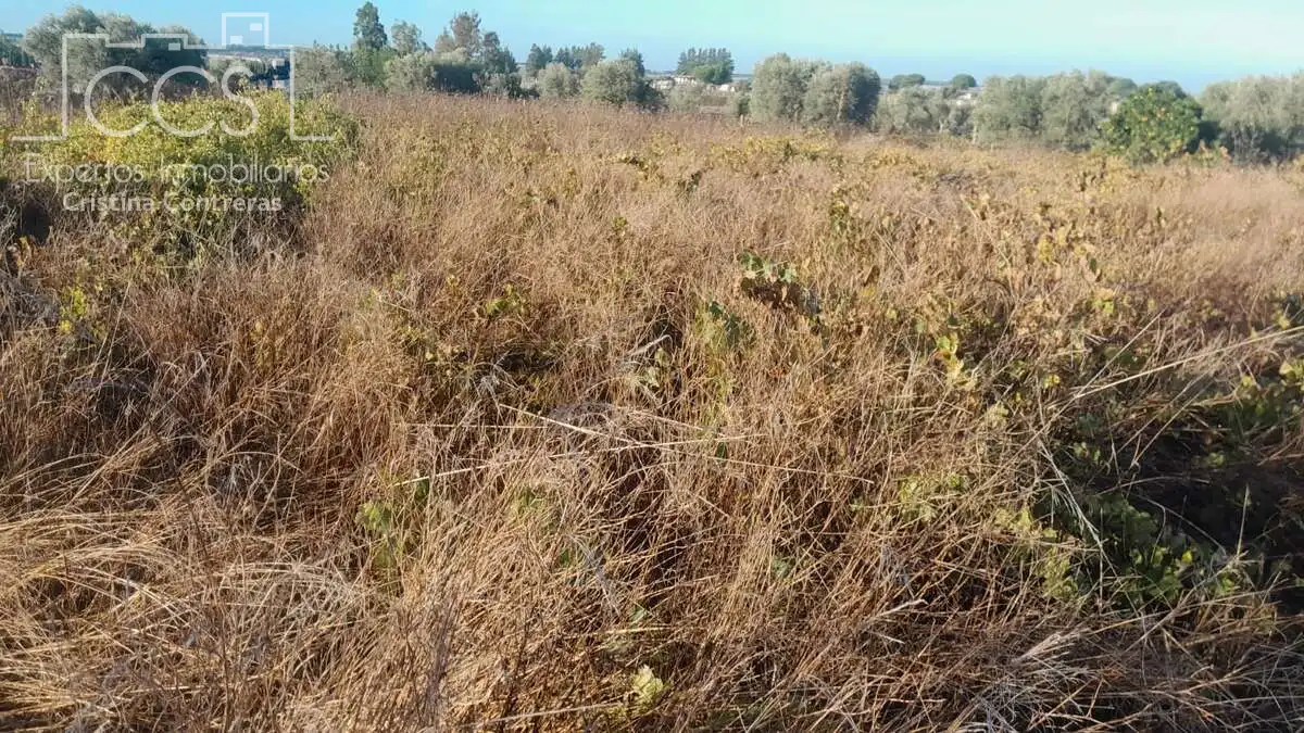 Terreni e lotti in vendita a Almonte ciudad, imagen 5