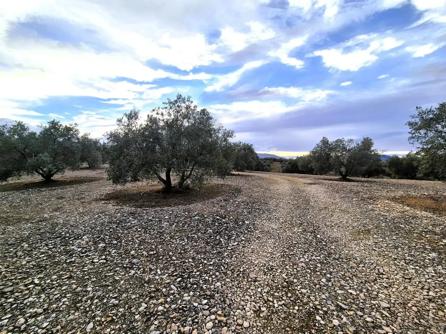 Rural land for sale in Huétor Tájar, imagen 7