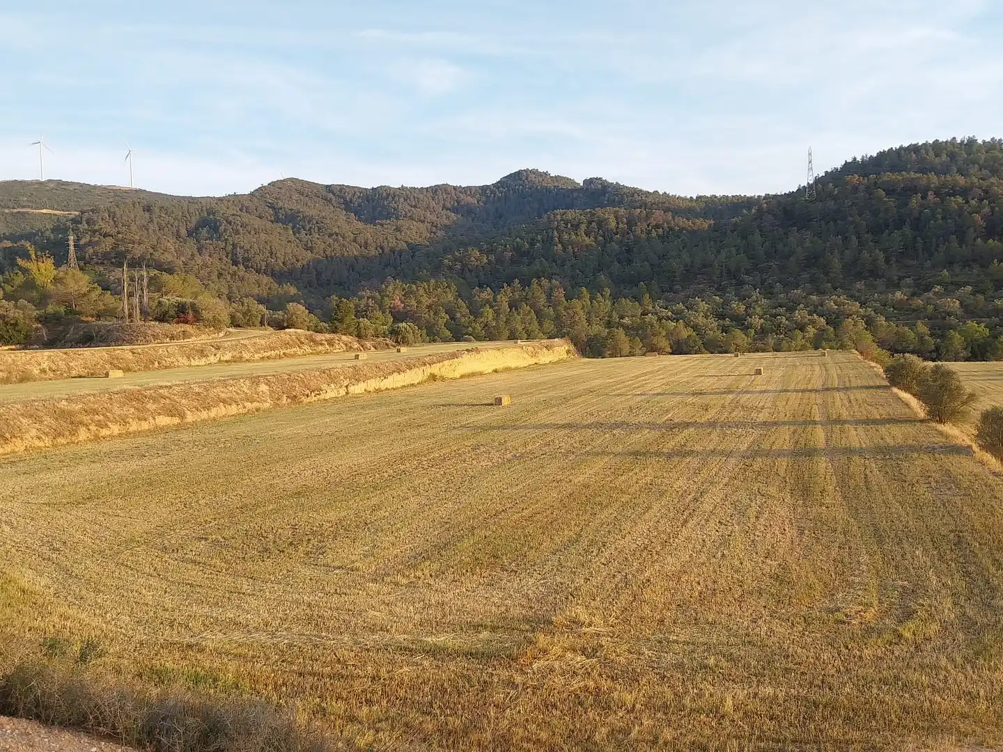 Terreno en venta en La Torre de l'Espanyol