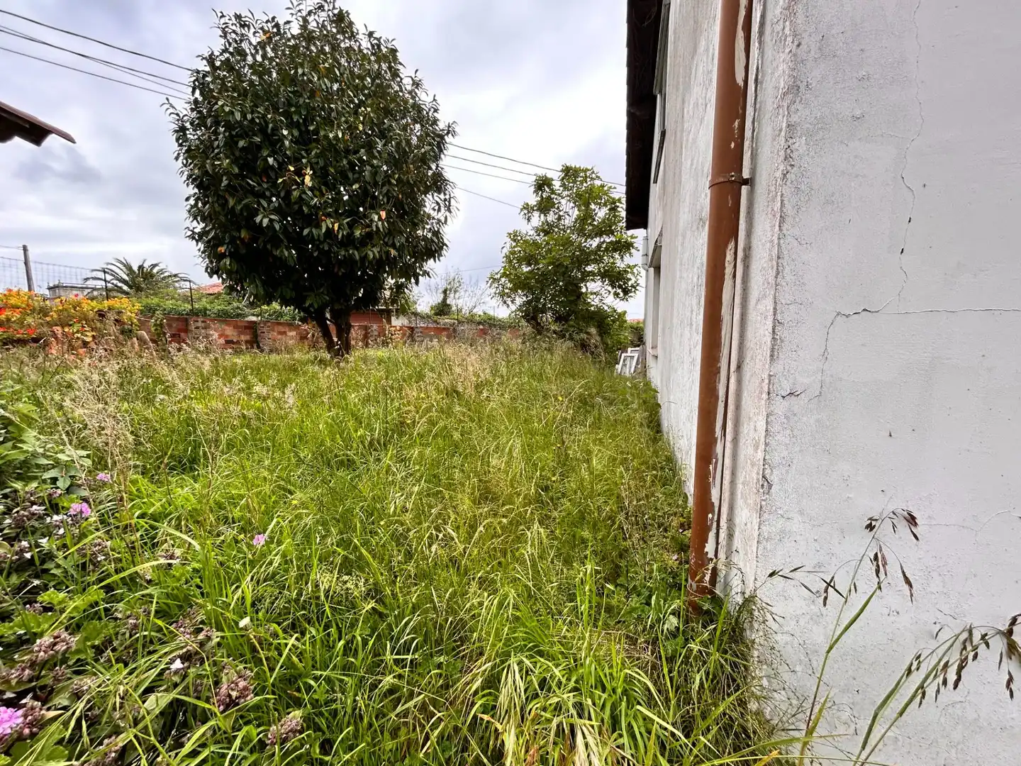 Houses for sale in Noja  with Private garden, Terrace and Storage room