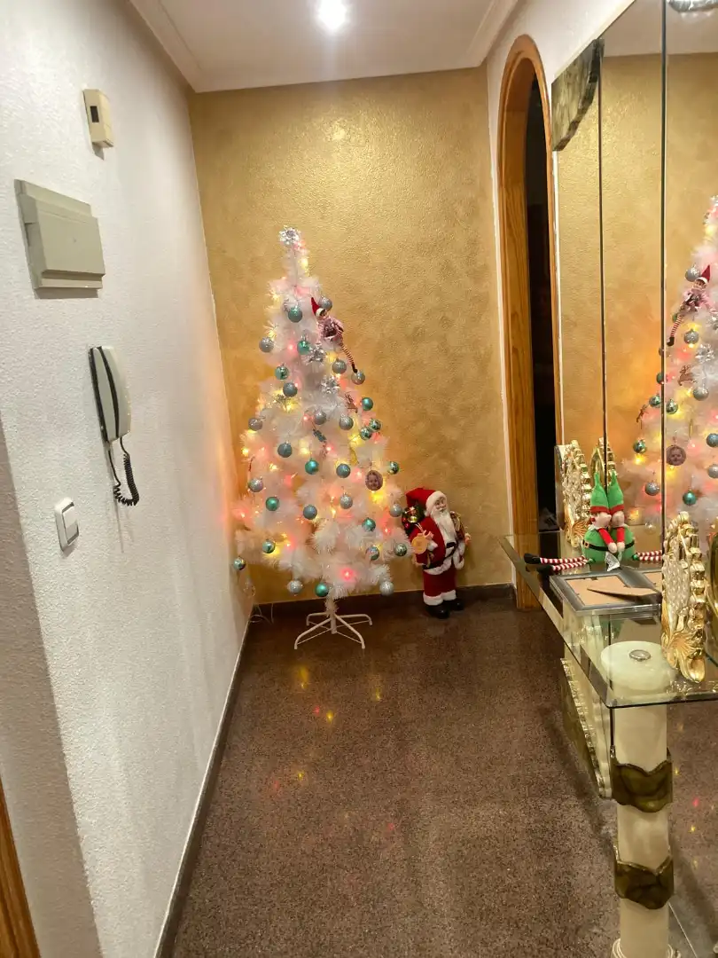 Flat with terrace for sale in Calle Adrián Viudes, imagen 10