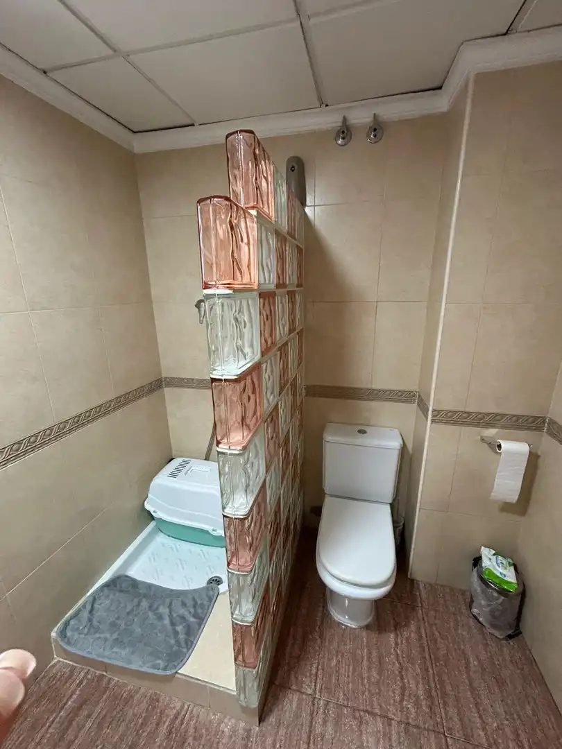 Bany de Apartament en venda en Torrevieja amb Terrassa i Balcó