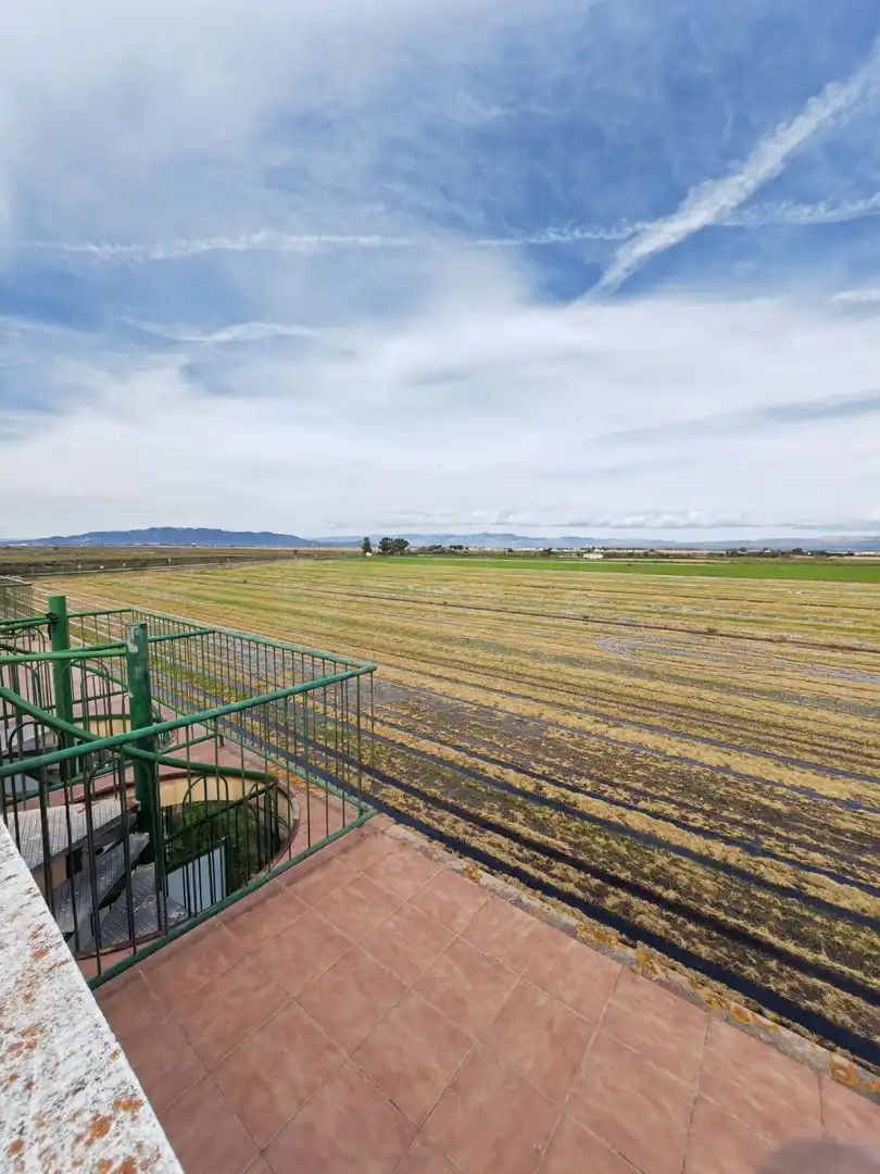 Flat with lift for sale in Eucaliptus- Poble Nou del Delta, imagen 28