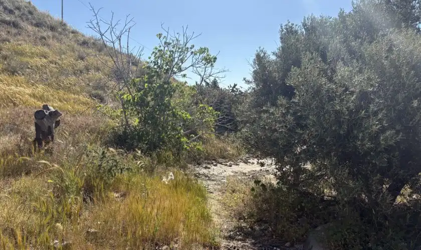 Casa o chalet en venta en Carboneras con Jardín privado, Terraza y Trastero