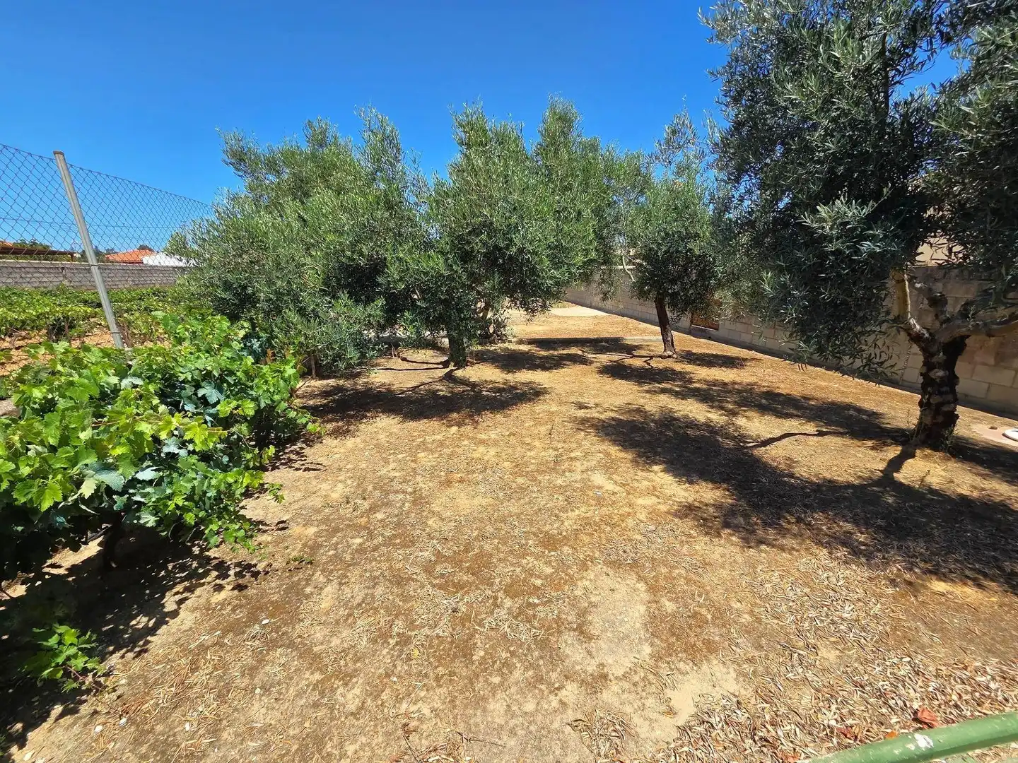 Casa o xalet en venda en Chiclana de la Frontera amb Jardí privat