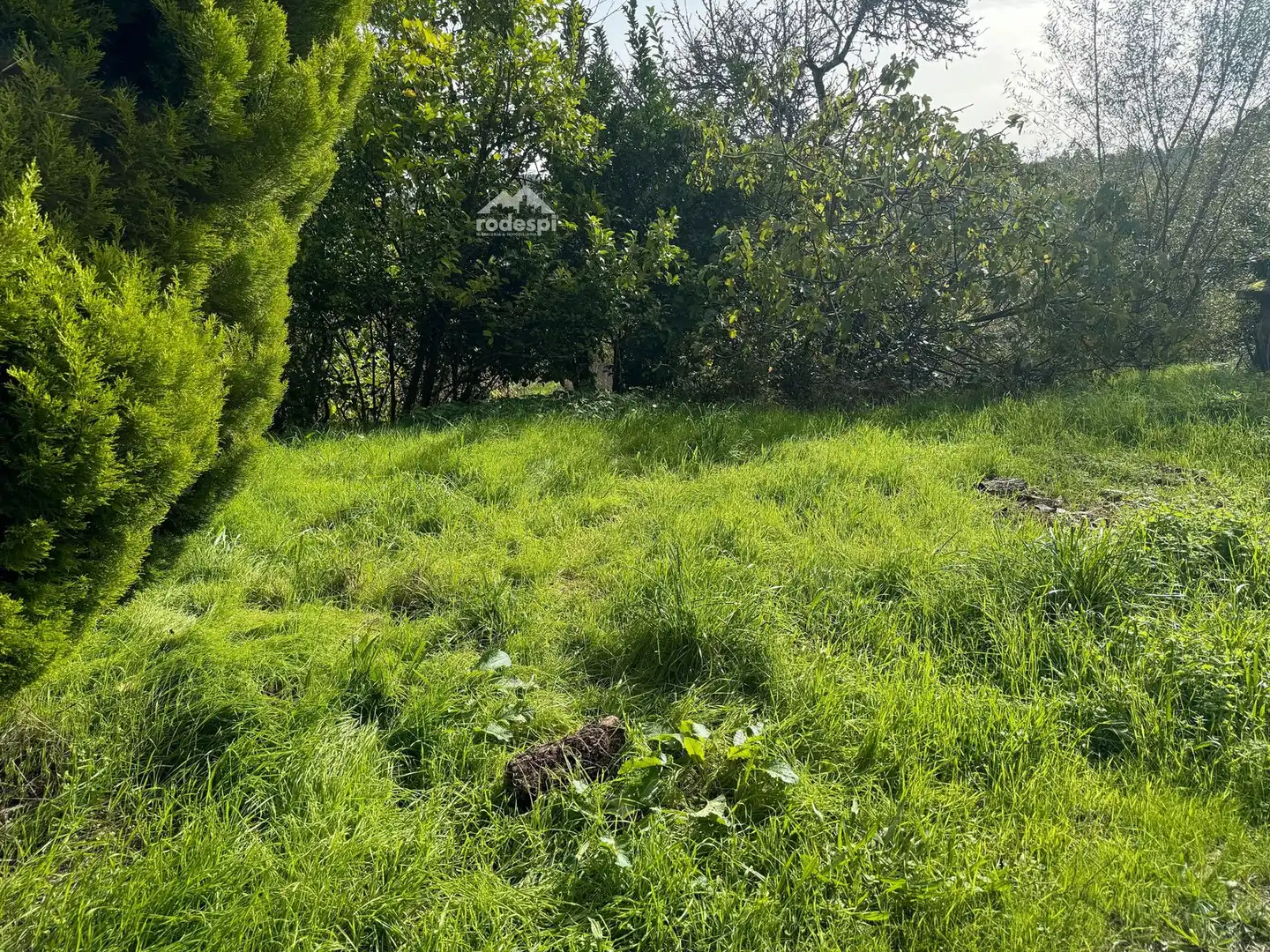 Adossat en venda a A Cañiza, imagen 24