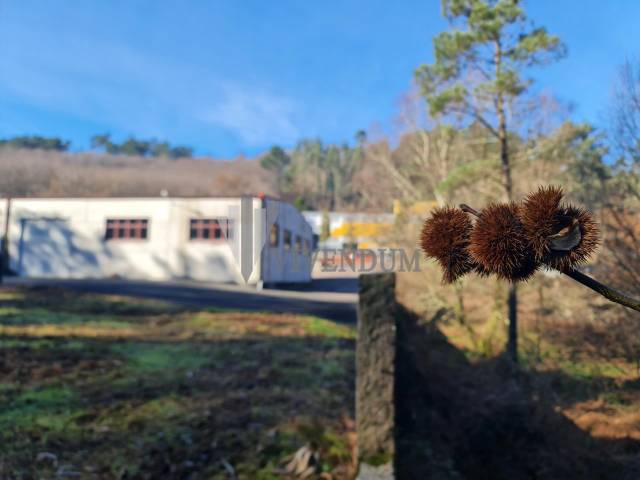 Nave industrial en Alquiler en Mos