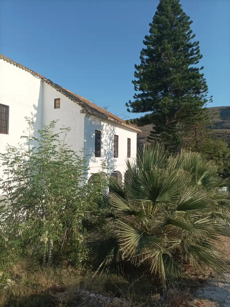 Exterior view of Country homes for sale in El Ejido  with Private garden, Furnished and Balcony