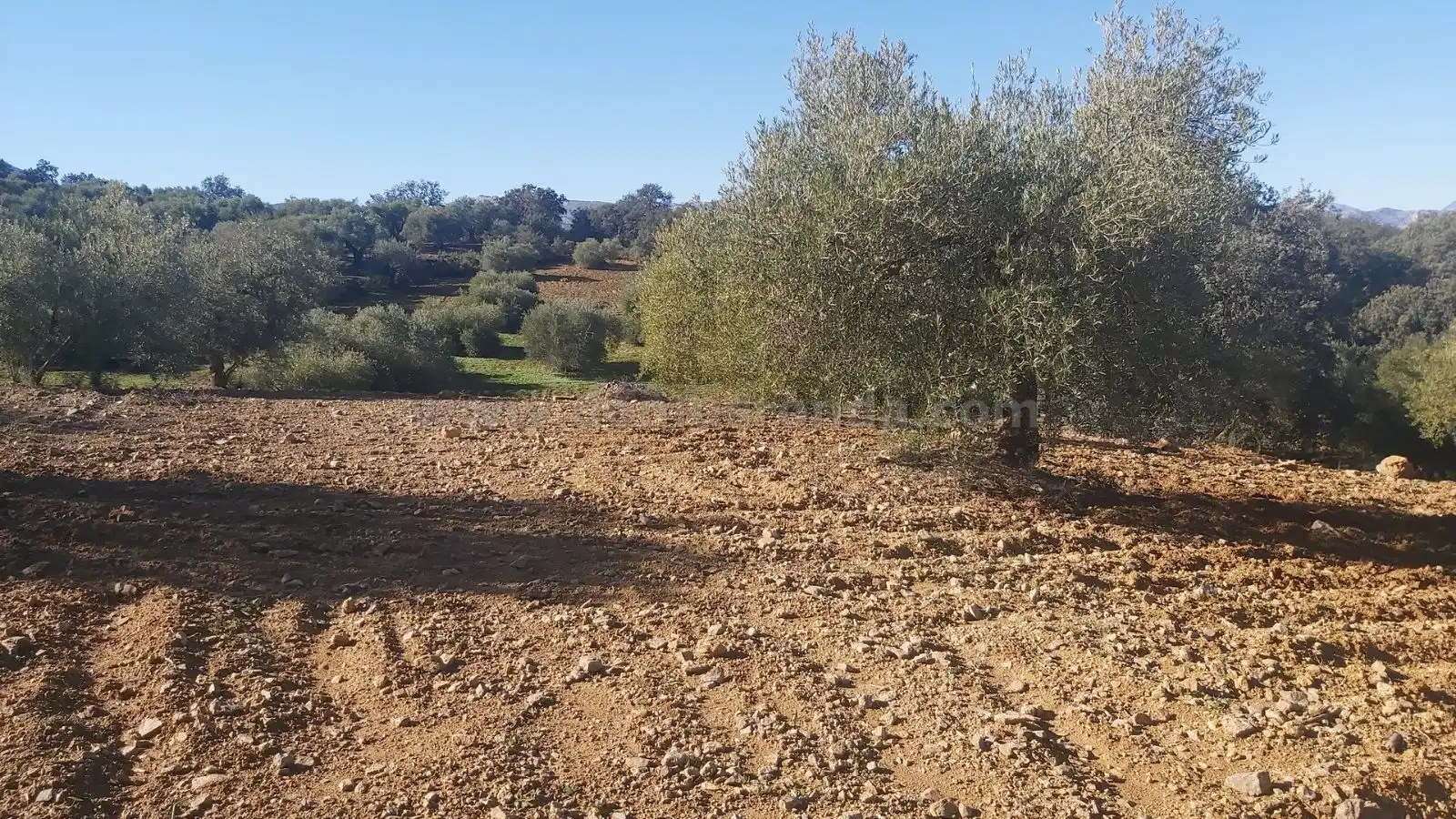 Terreni e lotti in vendita a Partidas Norte, imagen 2